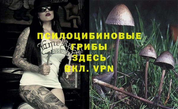 скорость Заволжье
