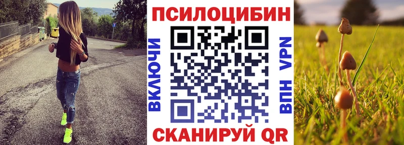 Купить  Козловка  Галлюциногенные грибы GOLDEN TEACHER 