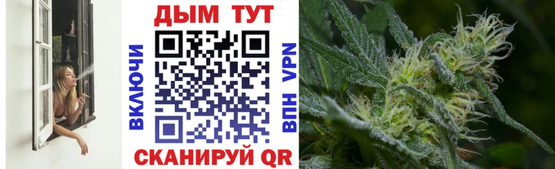 Купить где  Козловка  Канабис White Widow 
